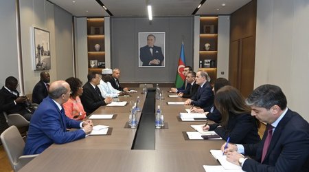 Ceyhun Bayramov Pan-Afrika Parlamentinin prezidenti ilə görüşüb