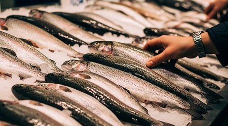 Россия продлила запрет на рыбу и молочку из Армении