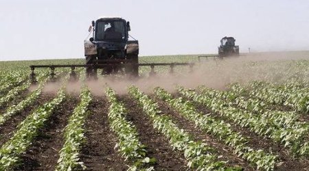 Fermerlərə 4,5 milyon manat zərər dəyib, sığorta ödənişlərinə başlanılacaq