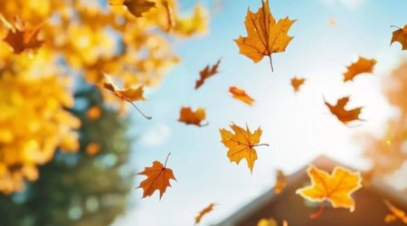 National Hydrometeorological Service issues weather forecast for October 1