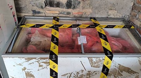 Gəncədə antisanitar şəraitdə dönər əti hazırlayan sexin fəaliyyəti dayandırılıb