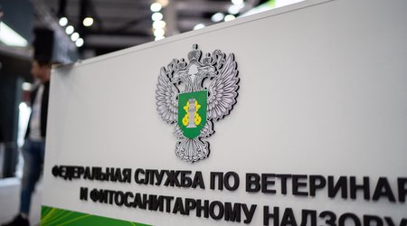 Russia seizes 230 kg of food on flights from Baku and Tashkent