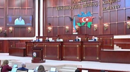 Милли Меджлис раскритиковал резолюцию Европарламента