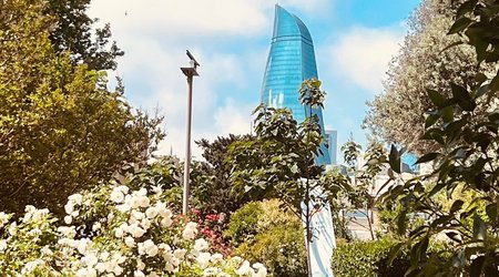 Sabahın hava proqnozu açıqlanıb