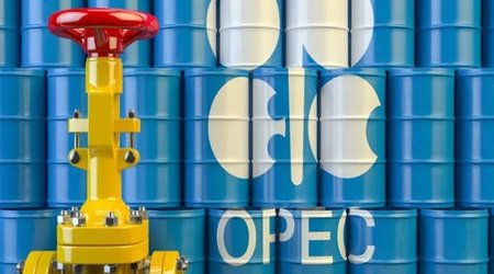 ОПЕК подтвердила ключевую роль нефти в энергобалансе