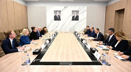 Nazir Rəşad Nəbiyev Karolin Vik ilə görüşüb