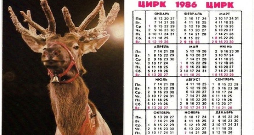 В интернете бум на календари 1986 года В интернете бум на календари 1986 года