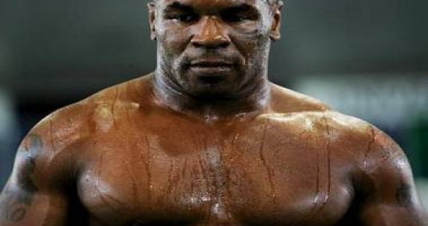 Tayson Kliçko haqda elə söz dedi ki... Tayson Kliçko haqda elə söz dedi ki...