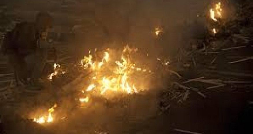 Число погибших при протестах в Венесуэле возросло до 37 человек Число погибших при протестах в Венесуэле возросло до 37 человек