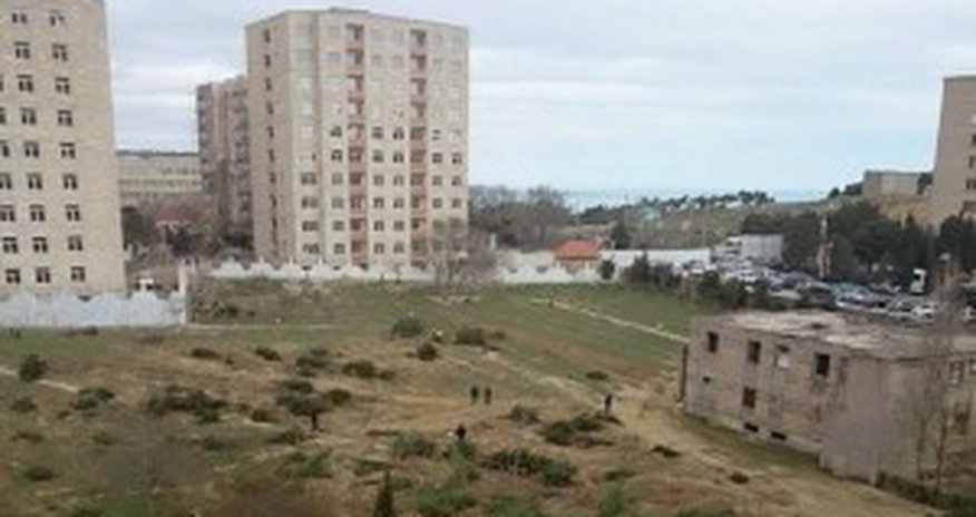 Botanika bağına cavabdeh kimdir? - VİDEO+FOTO Botanika bağına cavabdeh kimdir? - VİDEO+FOTO
