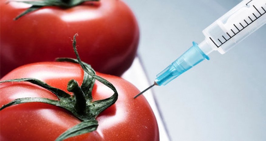 Многие местные сельхозпродукты имеют в составе ГМО Многие местные сельхозпродукты имеют в составе ГМО