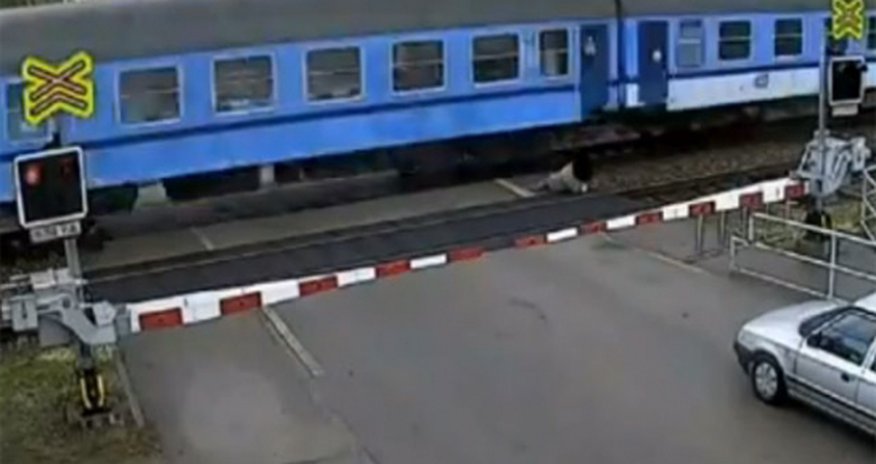 Пенсионер выжил после того, как его сбил поезд Пенсионер выжил после того, как его сбил поезд
