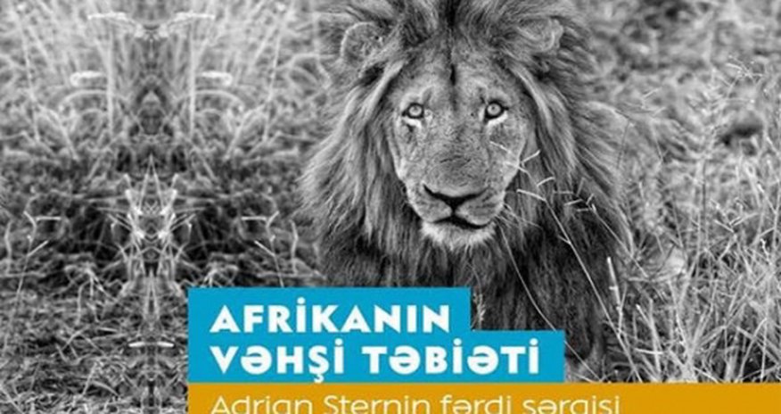 Bakıda tanınmış fotoqraf Adrian Sternin fərdi sərgisi açılacaq Bakıda tanınmış fotoqraf Adrian Sternin fərdi sərgisi açılacaq
