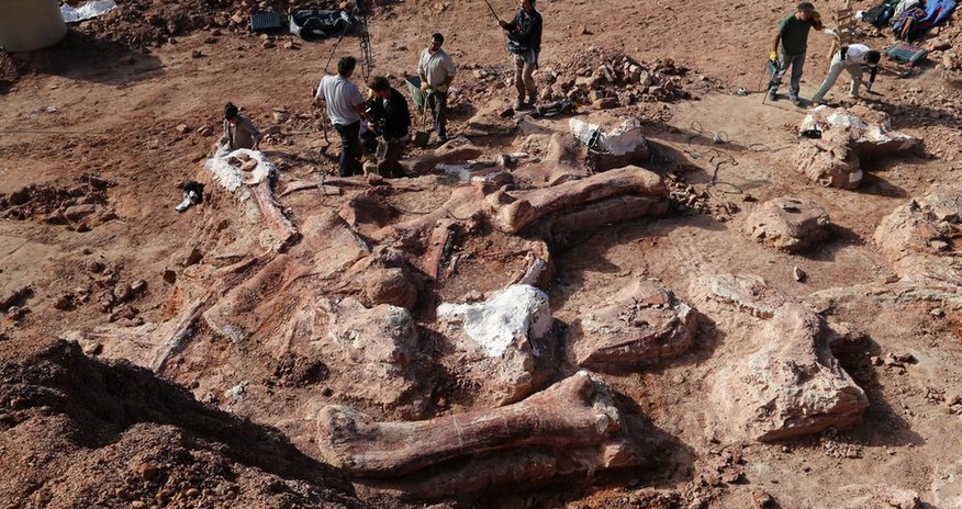 'Biggest dinosaur ever' discovered - PHOTO 'Biggest dinosaur ever' discovered - PHOTO