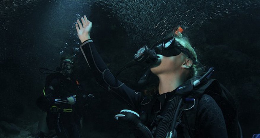 Incredible images capture thousands of silverside fish - PHOTO Incredible images capture thousands of silverside fish - PHOTO