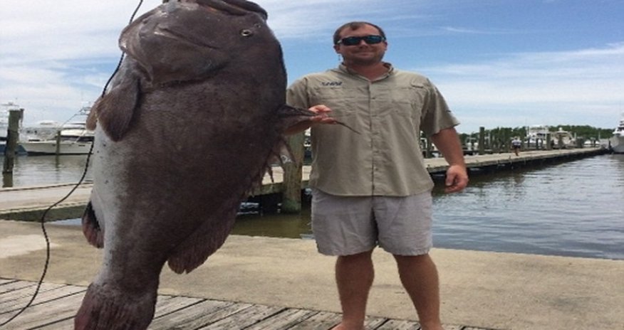 Now THAT is one big fish Now THAT is one big fish