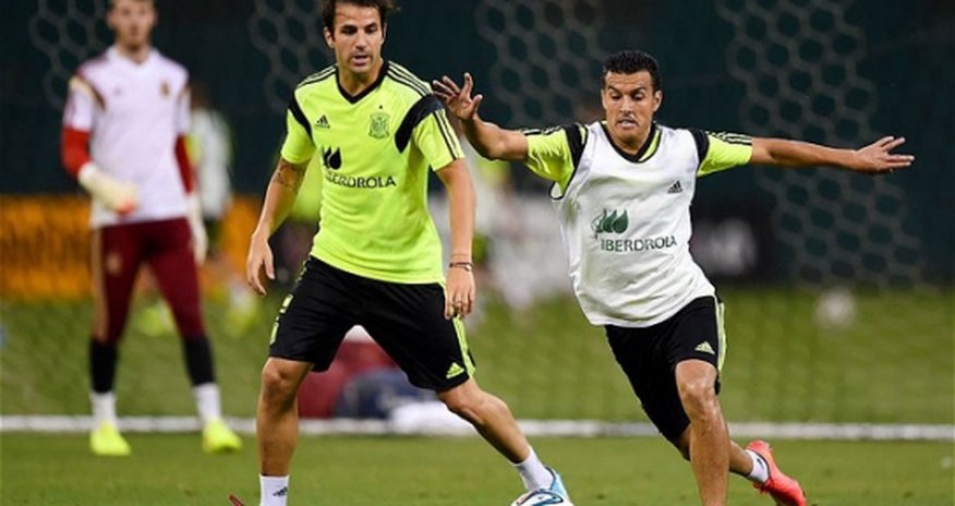 Chelsea begin negotiations with Cesc Fabregas Chelsea begin negotiations with Cesc Fabregas
