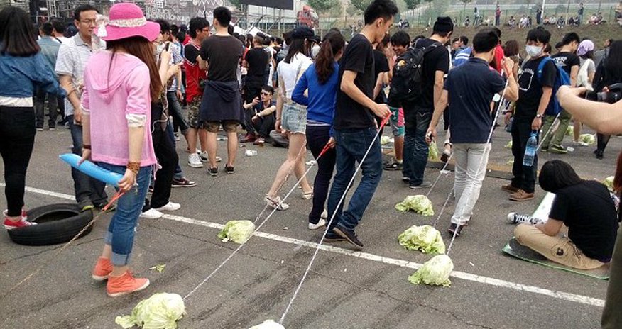 I'm just taking the CABBAGE for a walk - PHOTO I'm just taking the CABBAGE for a walk - PHOTO