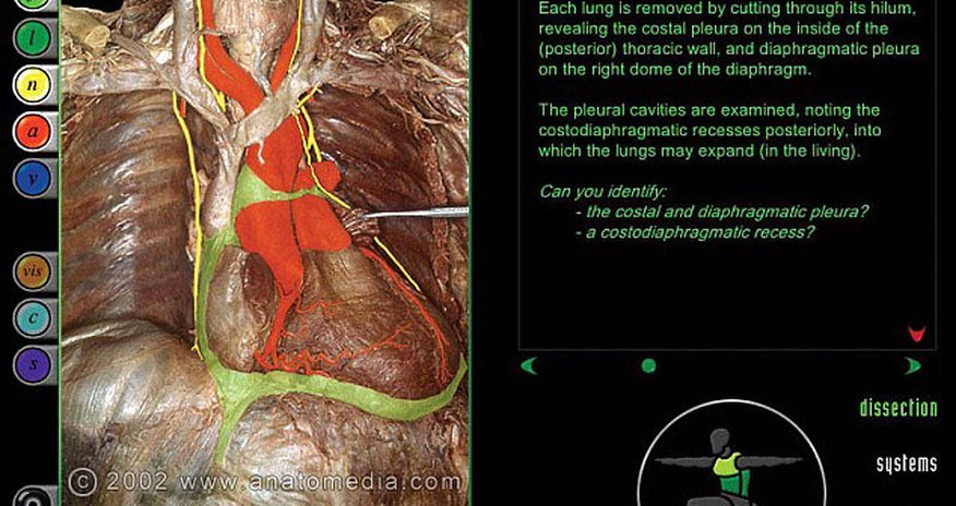 Medical website lets you virtually dissect dead bodies - PHOTO+VIDEO Medical website lets you virtually dissect dead bodies - PHOTO+VIDEO