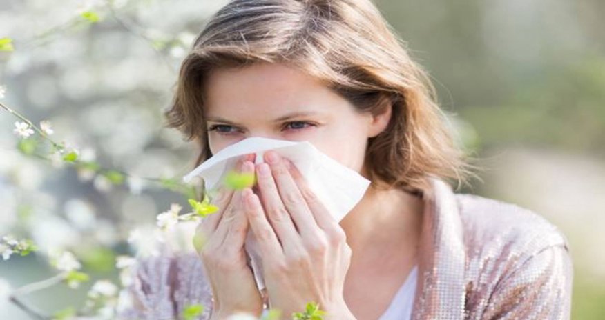 Driving with hay fever is as dangerous as drink-driving Driving with hay fever is as dangerous as drink-driving