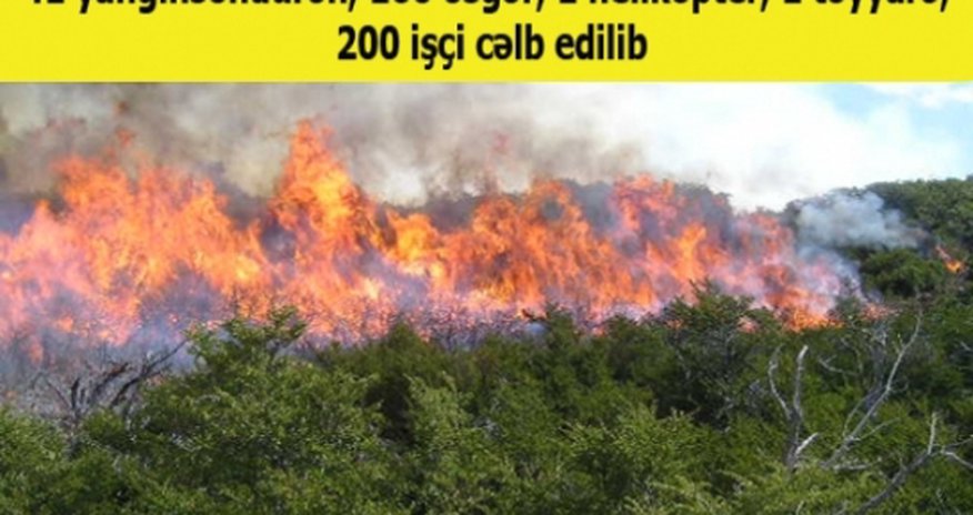 Azərbaycanın cənubunda meşələr yanır - FHN ayaqda! Azərbaycanın cənubunda meşələr yanır - FHN ayaqda!