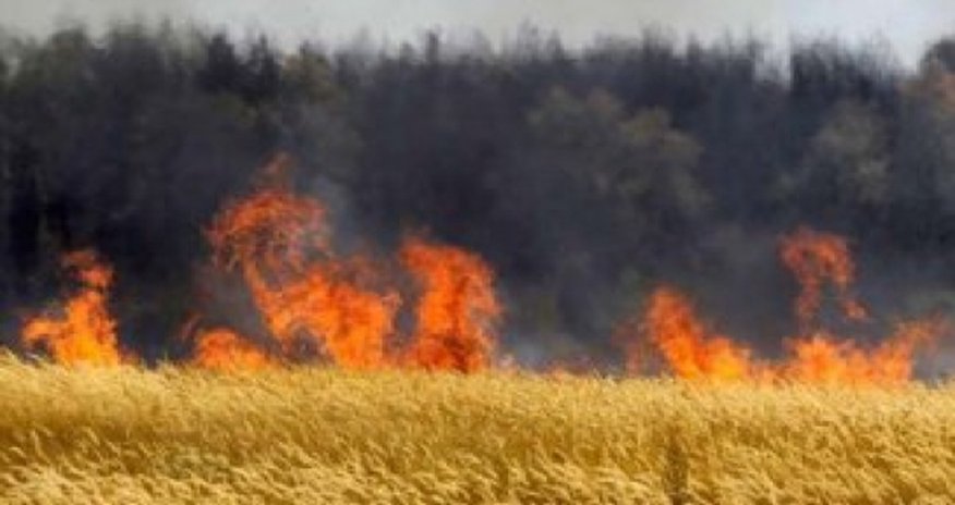 В Гахском районе Азербайджана пожар уничтожил пшеничные поля В Гахском районе Азербайджана пожар уничтожил пшеничные поля