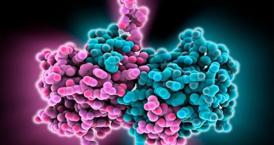 Why Ebola is so dangerous Why Ebola is so dangerous