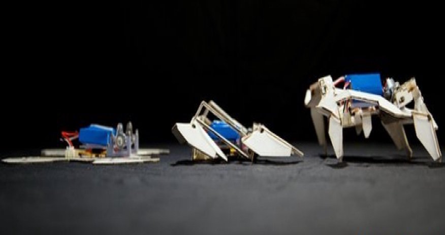 Robots inspired by origami fold themselves into motion Robots inspired by origami fold themselves into motion