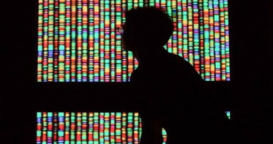 Success can be attributed to racial differences within genetics Success can be attributed to racial differences within genetics