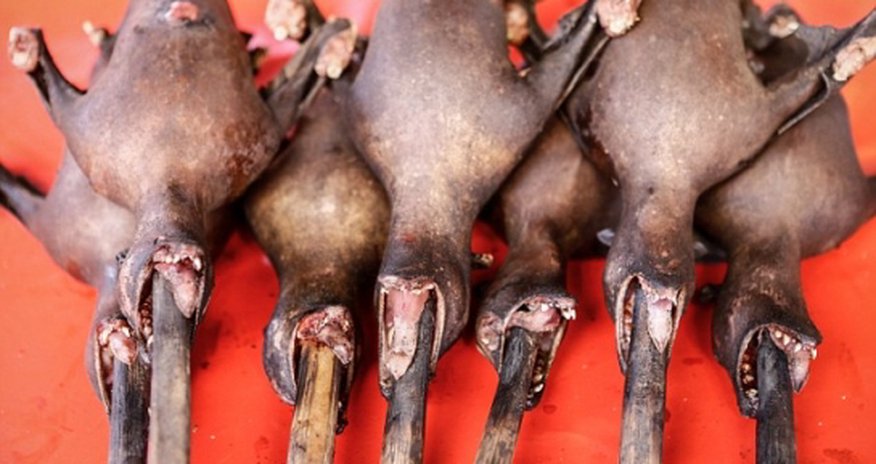 Indonesian market packed full of gruesome local delicacies - PHOTO+VIDEO Indonesian market packed full of gruesome local delicacies - PHOTO+VIDEO