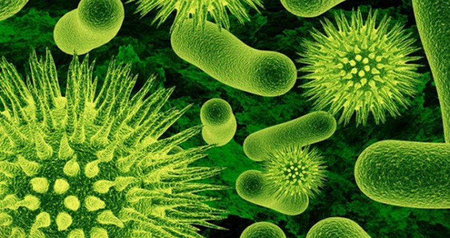 Ebola Berlinə çatdı Ebola Berlinə çatdı