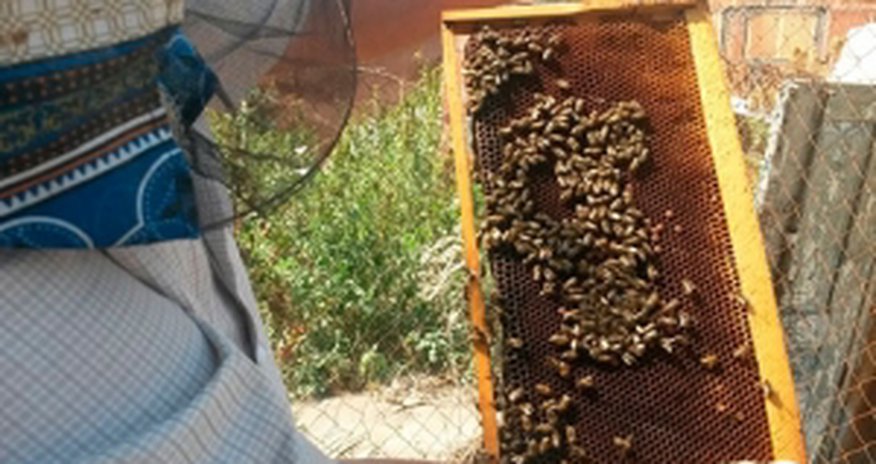 Bir litri 50 manata qalxdı - FOTOLAR Bir litri 50 manata qalxdı - FOTOLAR