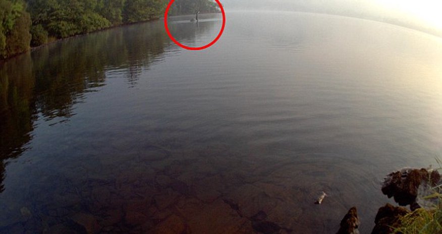 Loch Ness Monster has relocated south of the border - PHOTO Loch Ness Monster has relocated south of the border - PHOTO