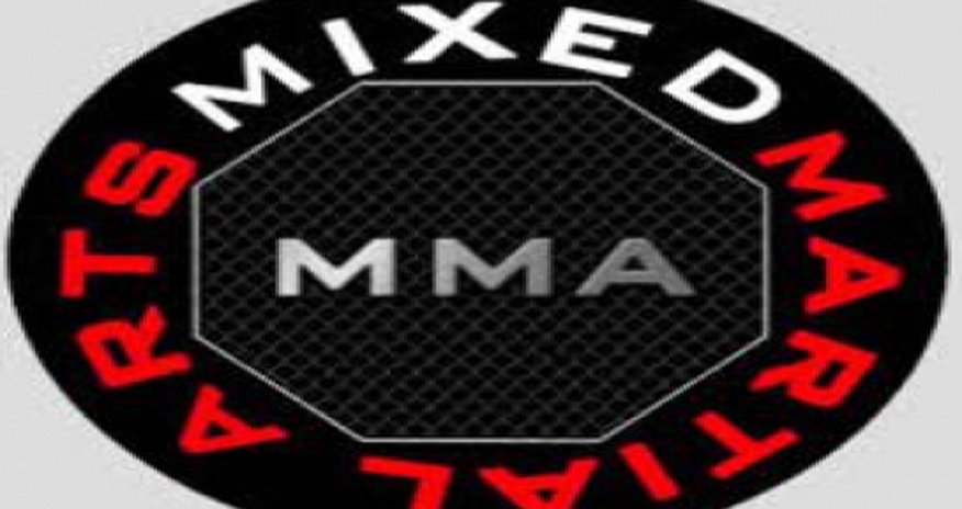 Azerbaijani fighter takes MMA world championship title Azerbaijani fighter takes MMA world championship title