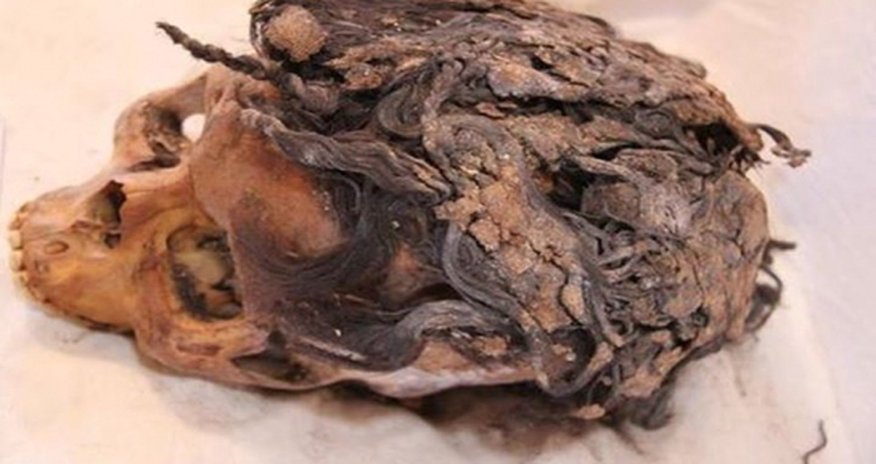 3,000-year-old ancient Egyptian woman with more than 70 hair extensions 3,000-year-old ancient Egyptian woman with more than 70 hair extensions
