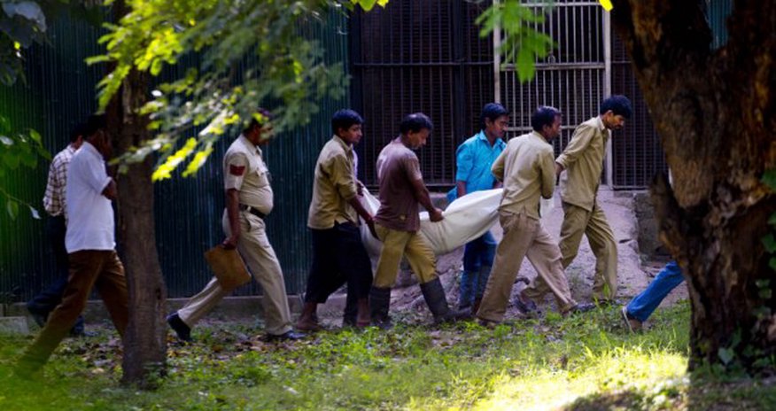 Man mauled to death by white tiger - PHOTO+VIDEO Man mauled to death by white tiger - PHOTO+VIDEO