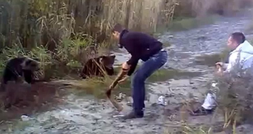 Russian brutally batters orphaned baby bear over the head with metal pipe - VIDEO Russian brutally batters orphaned baby bear over the head with metal pipe - VIDEO