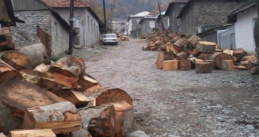 Qaz kəmərlərinin uzandığı kənddə ağaclar baltalanır, nədən? Qaz kəmərlərinin uzandığı kənddə ağaclar baltalanır, nədən?