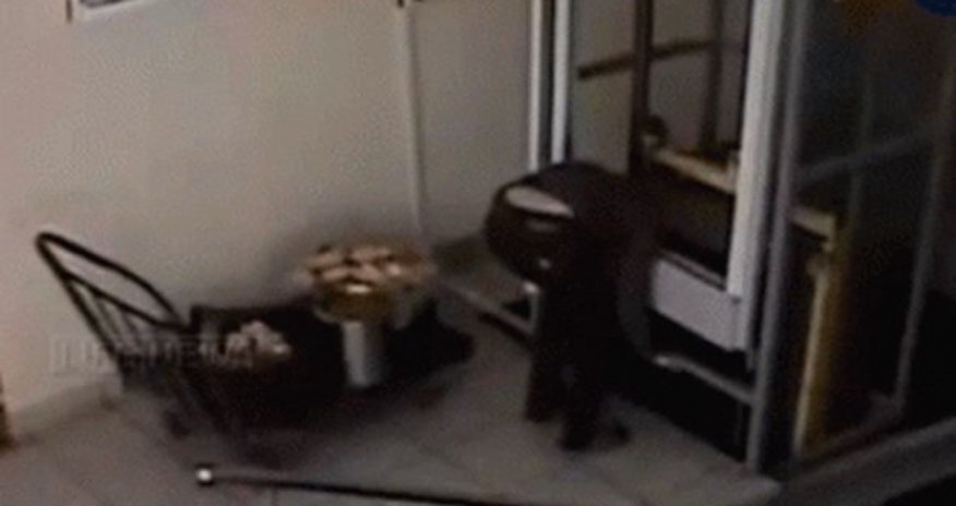 Лифт придавил голову женщине –ВИДЕО Лифт придавил голову женщине –ВИДЕО