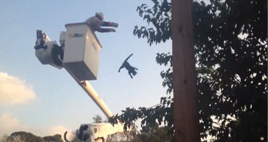 Firefighter HURLS a cat after rescuing it from the top of utility pole - VIDEO Firefighter HURLS a cat after rescuing it from the top of utility pole - VIDEO