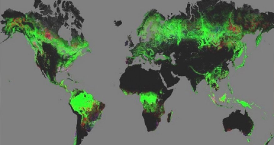 Forest change mapped by Google Earth Forest change mapped by Google Earth