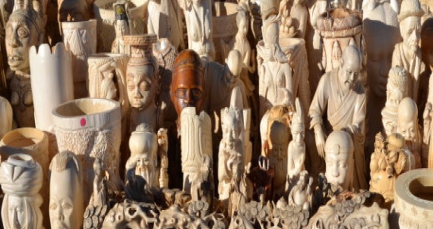 U.S. crushes ivory stockpile U.S. crushes ivory stockpile