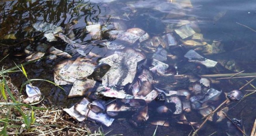 Over £60,000 worth of banknotes found floating down a river Over £60,000 worth of banknotes found floating down a river