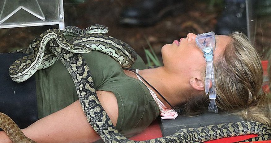 Celebrity shakes with fear after facing snakes - PHOTO+VIDEO Celebrity shakes with fear after facing snakes - PHOTO+VIDEO