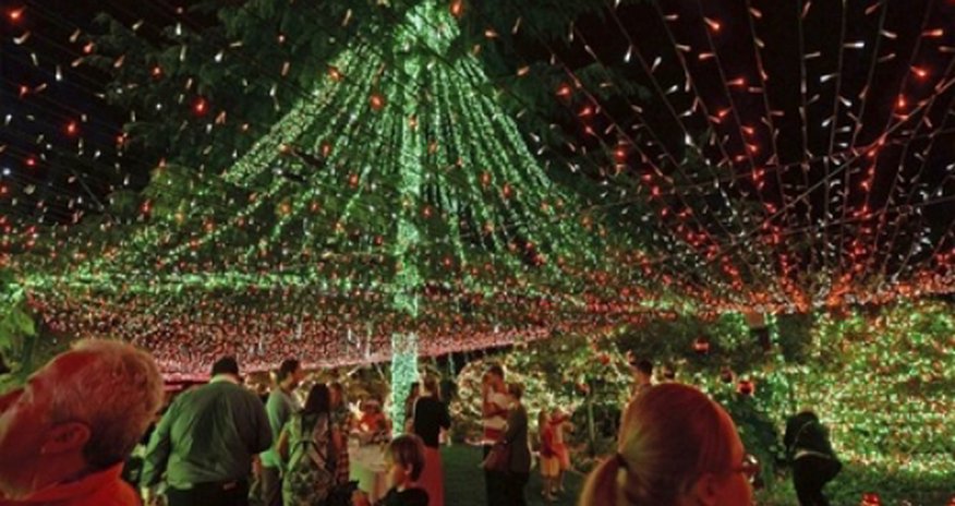 Family set Christmas lights record - VIDEO Family set Christmas lights record - VIDEO