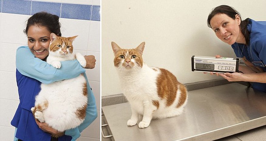 She’s no longer a portly pooch! - PHOTO She’s no longer a portly pooch! - PHOTO