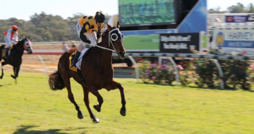 The world's worst racehorse? The world's worst racehorse?