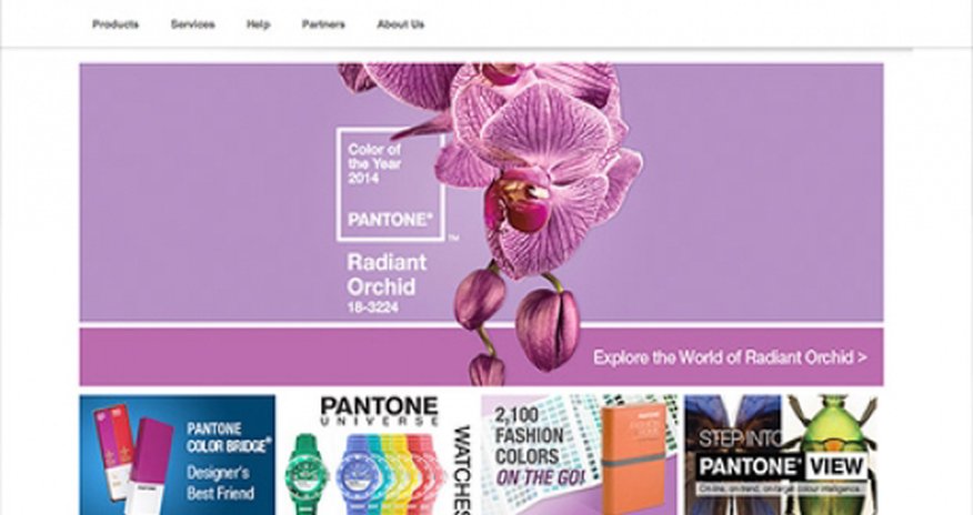 The color of 2014: radiant orchid The color of 2014: radiant orchid