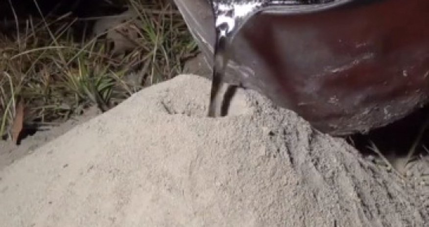 Ant colony artist responds to fierce ‘insect killing’ criticism - VIDEO Ant colony artist responds to fierce ‘insect killing’ criticism - VIDEO