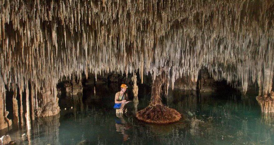 There is a whole new world of cave formations beneath our feet - PHOTO There is a whole new world of cave formations beneath our feet - PHOTO